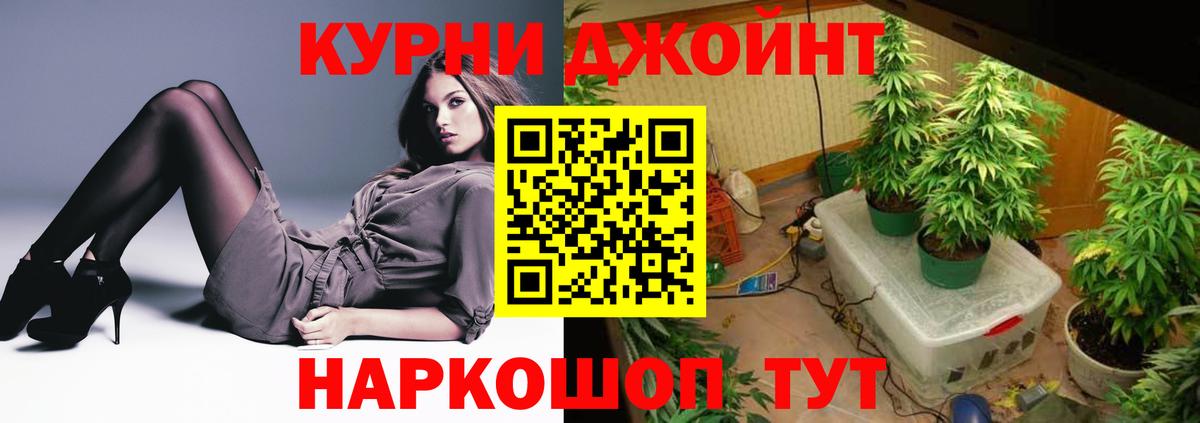 Бошки Шишки Amnesia  Вход с VPN  Канабис марихуана  Солнечногорск  Бошки Шишки семена 